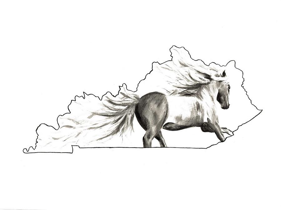 Kentucky Drawing at Explore collection of Kentucky