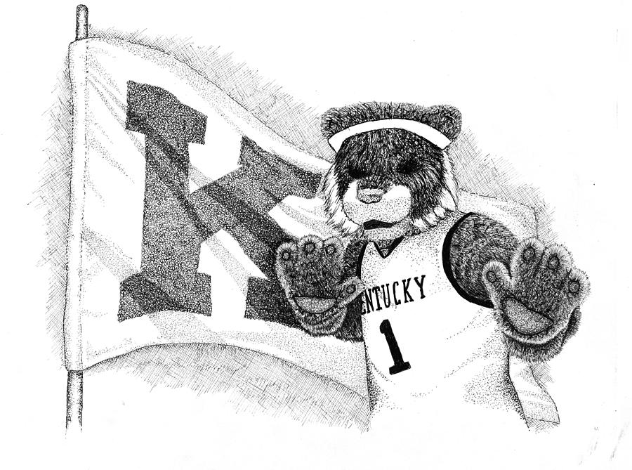 900x669 The Wildcat Drawing - Kentucky Drawing