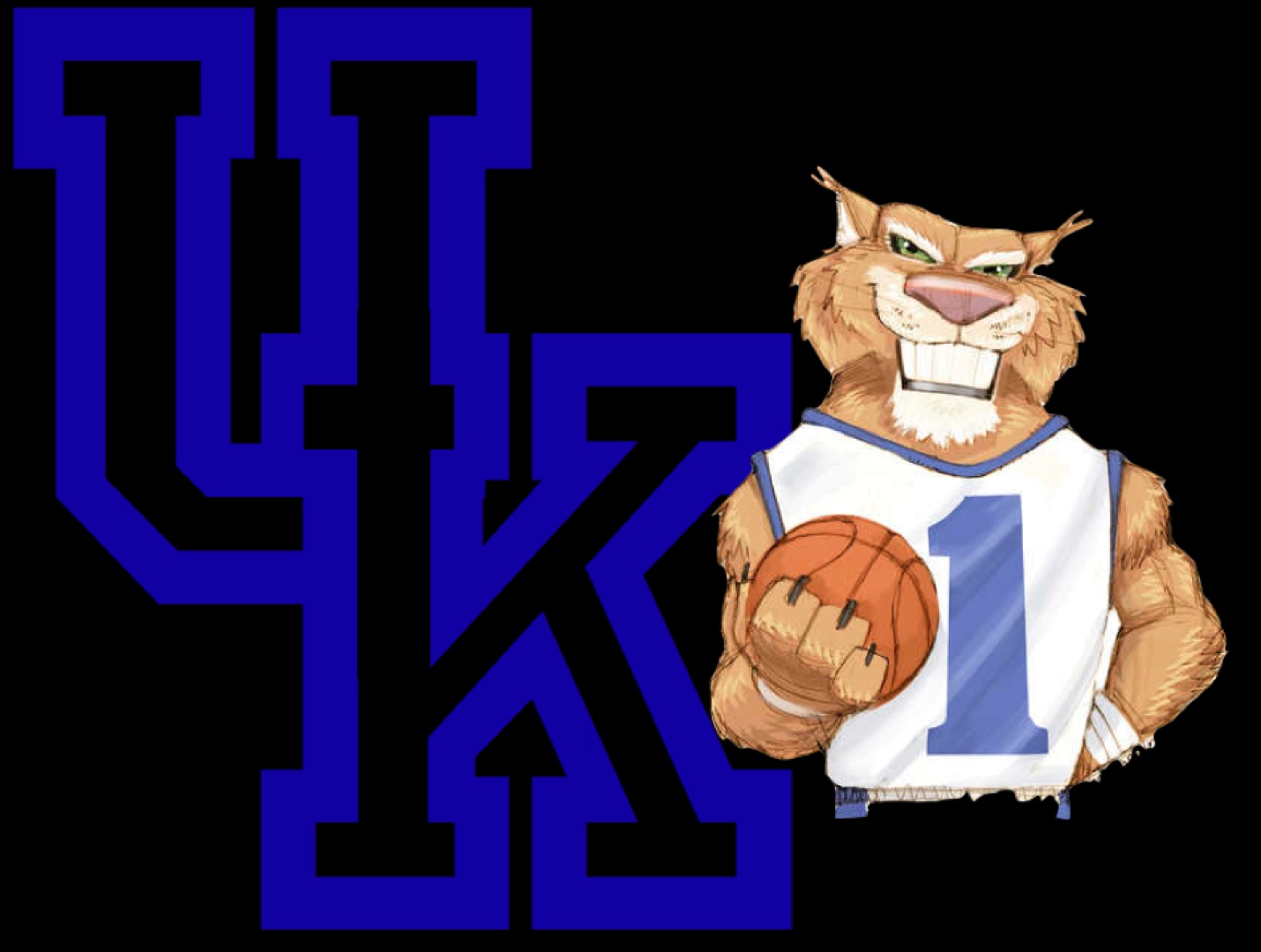 1430x1080 kentucky wildcats silk roads and siamese smiles - Kentucky Wildcat Drawing