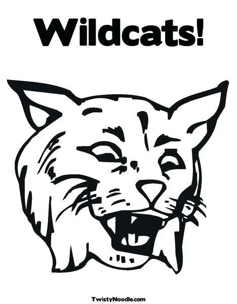 Kentucky Wildcat Drawing at PaintingValley.com | Explore collection of ...