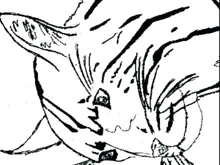 440x330 wildcat coloring - Kentucky Wildcat Drawing