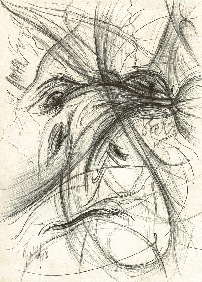 646x900 Kermit The Frog Drawing - Kermit The Frog Drawing