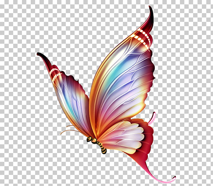 728x638 butterfly color drawing ketupat, multicolored butterfly png - Ketupat Drawing