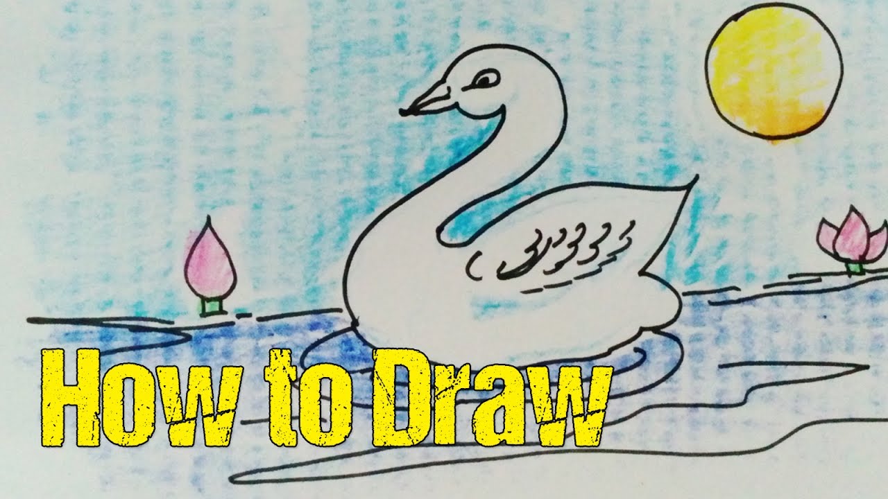 1280x720 How To Draw Swan Kid Crayon Colors Step - Kids Crayon Drawing