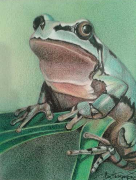 468x617 This Drawing Medium Isn't Just For Kids - Kids Crayon Drawing