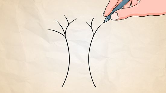 550x309 How To Draw A Simple Tree Steps - Kids Drawing Of A Tree