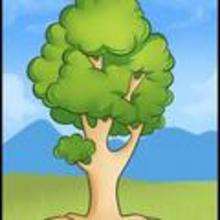 220x220 How To Draw How To Draw An Easy Tree - Kids Drawing Of A Tree