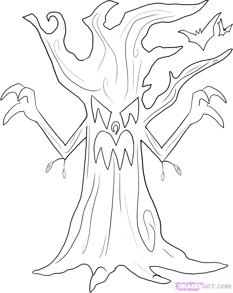 779x978 Oak Tree Coloring - Kids Drawing Of A Tree