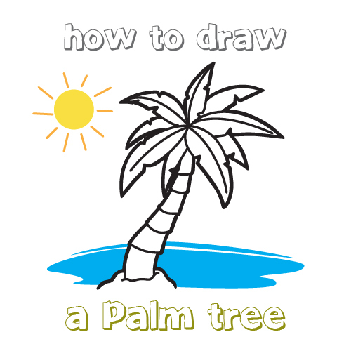 500x500 Top Drawing Of A Palm Tree How To Draw For Kids Youtube - Kids Drawing Of A Tree