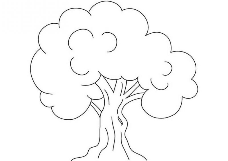 Kids Drawing Of A Tree at PaintingValley.com | Explore collection of ...