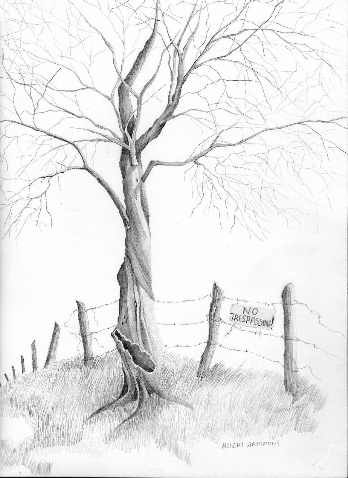 1164x1600 Easy Pencil Drawings Of Tree Drawing Tree With Pen Kids Drawing - Kids Drawing Of A Tree