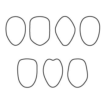 340x340 Drawing Common Face Shapes For Kids We Draw Kids - Kids Face Drawing