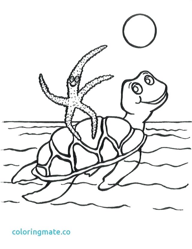 640x827 Pool Coloring Pages Swimming Unique Safety Kids Drawing - Kids Swimming Drawing