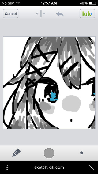 320x568 How Do You Even Draw On Kik Wtf - Kik Drawing