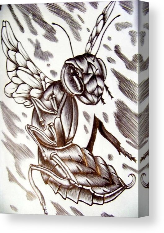 529x750 Killer Bee Canvas Print Canvas Art - Killer Bee Drawing