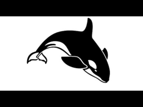 480x360 How To Draw Killer Whale Swimming Pencil Drawing Step - Killer Whale Drawing