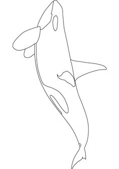 236x333 How To Draw A Killer Whale Step - Killer Whale Drawing