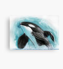 210x230 Killer Whale Drawing Canvas Prints Redbubble - Killer Whale Drawing