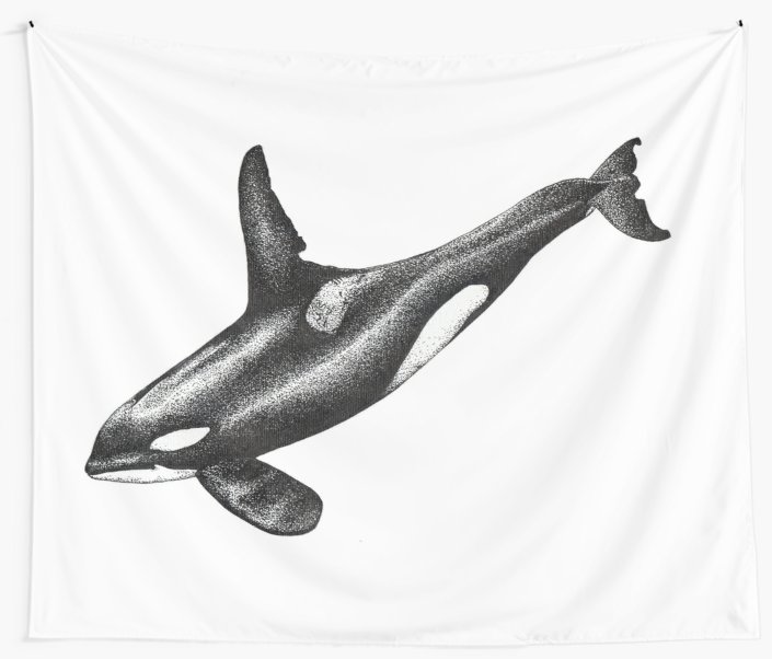 705x602 Killer Whale Orca Ink Drawing Wall Tapestries - Killer Whale Drawing