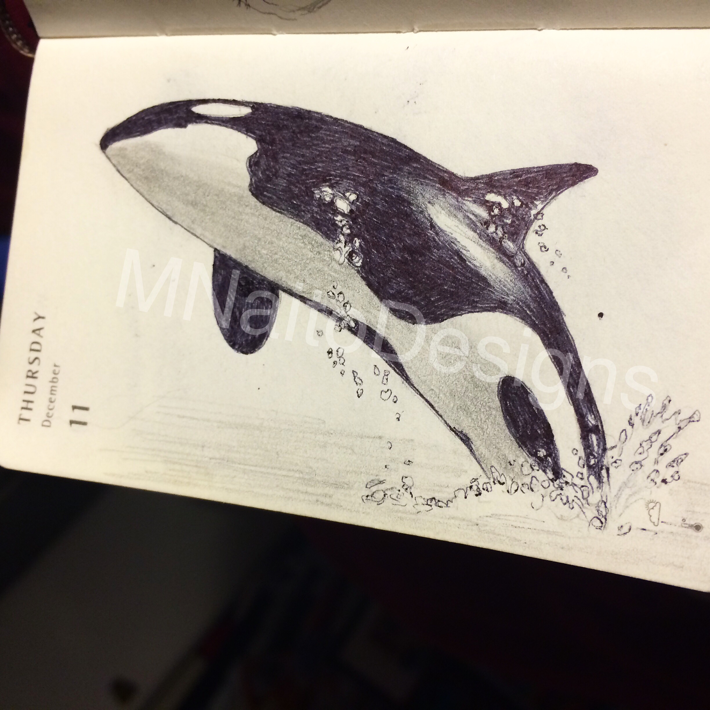 2448x2448 Mnaitodesigns Keeping It As Real As Possible, One Drawing - Killer Whale Drawing