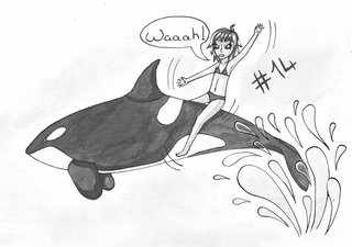 320x225 Killerwhale Drawings On Paigeeworld Pictures Of Killerwhale - Killer Whale Drawing