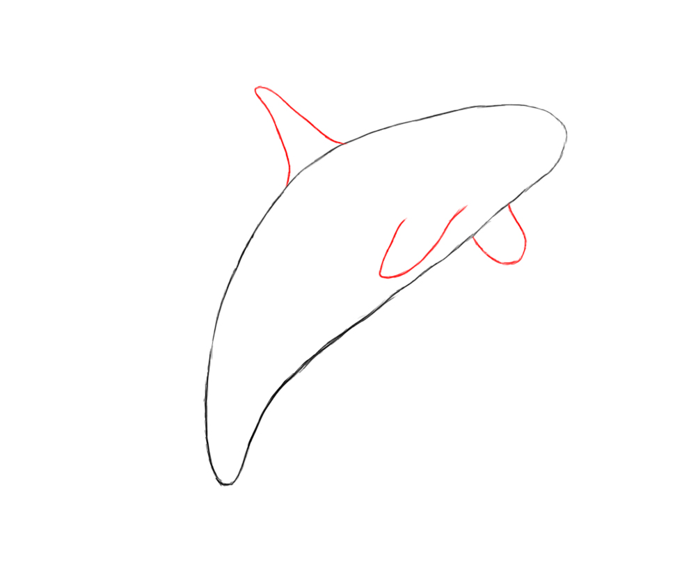 970x822 How To Draw A Killer Whale - Killer Whale Outline Drawing