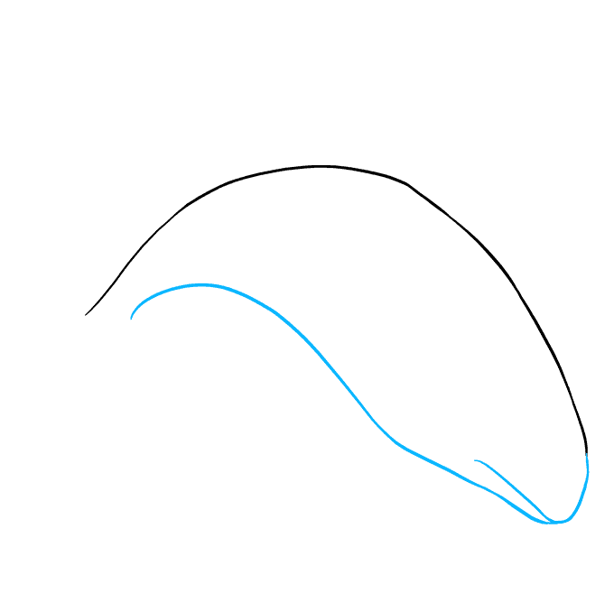 680x678 How To Draw An Orca - Killer Whale Outline Drawing