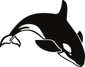 297x234 Killer Drawing Outline Transparent Png Clipart Free Download - Killer Whale Outline Drawing