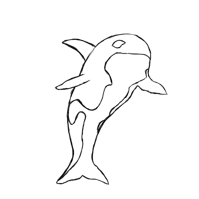 Download Killer Whale Outline Drawing at PaintingValley.com ...