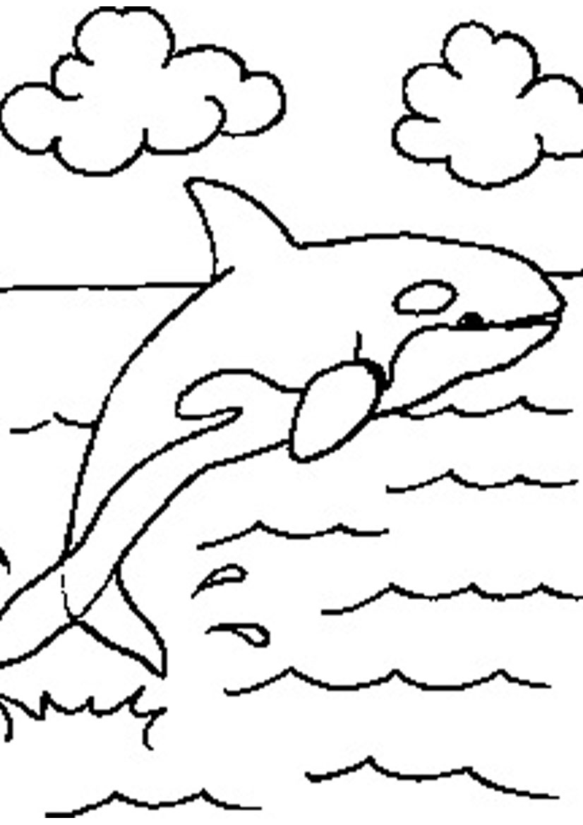 826x1169 Killer Whale Coloring Pages - Killer Whale Outline Drawing