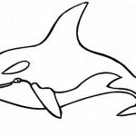 150x150 killer whale drawing at getdrawings free for personal use killer - Killer Whale Outline Drawing