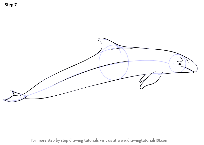 killer-whale-outline-drawing-at-paintingvalley-explore-collection