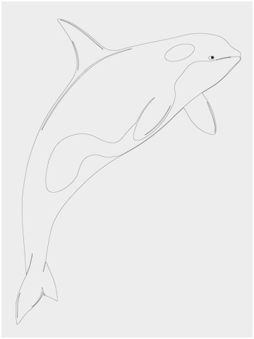 360x480 Orca Coloring Pages Inspirational Sheep Outline Drawing Coloring - Killer Whale Outline Drawing