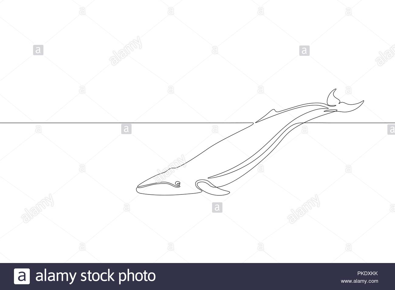 1300x956 Whale Outline Drawing With Killer Whale Outline Drawing - Killer Whale Outline Drawing