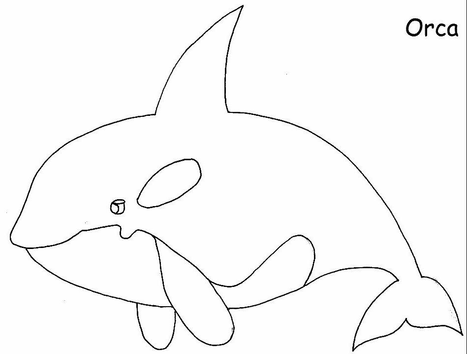949x718 Simple Whale Outline - Killer Whale Outline Drawing