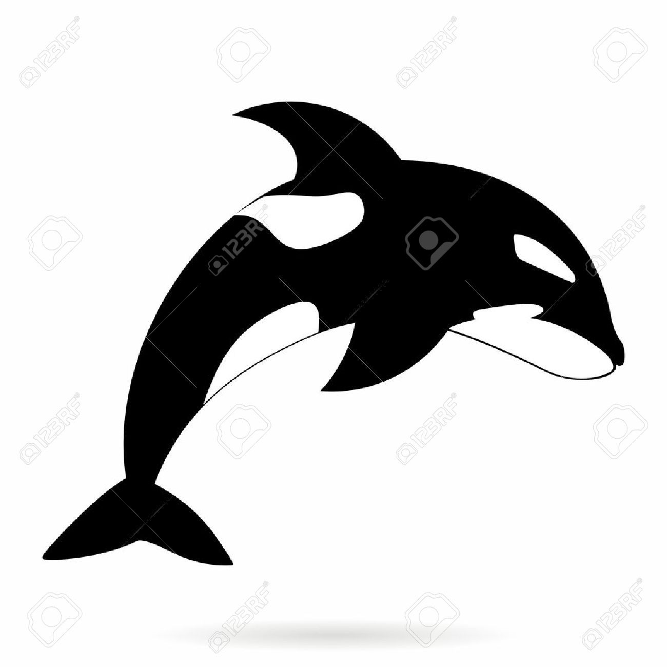 1300x1300 Vector Monochrome Simle Orca Killer Whale Outline - Killer Whale Outline Drawing