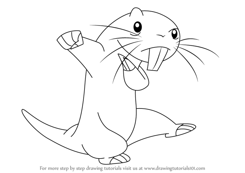 800x566 learn how to draw rufus from kim possible - Kim Possible Drawing