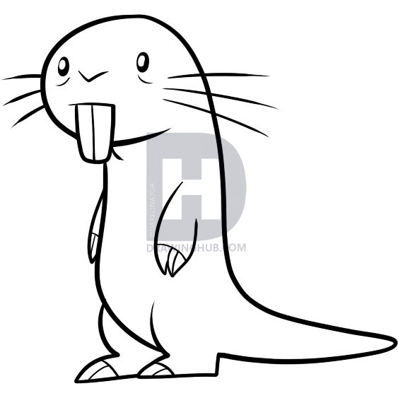 563x563 how to draw rufus, kim possible, step - Kim Possible Drawing