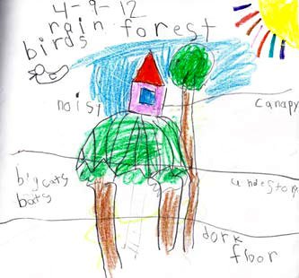 333x310 how to teach information writing in kindergarten - Kindergarten Drawing