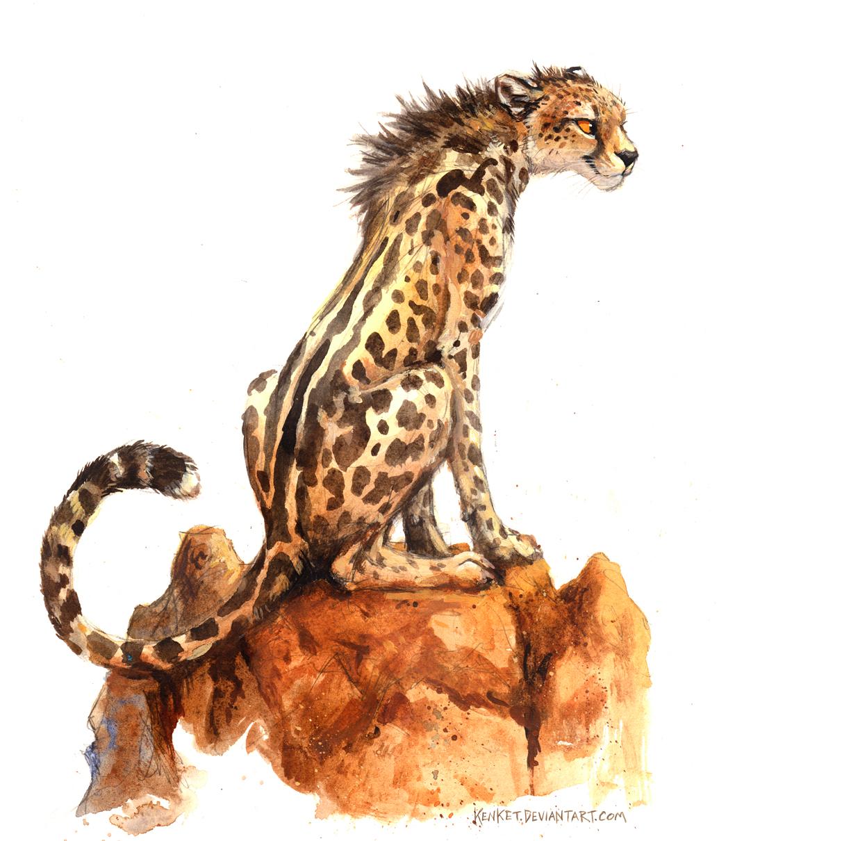 1248x1210 King Cheetah - King Cheetah Drawing