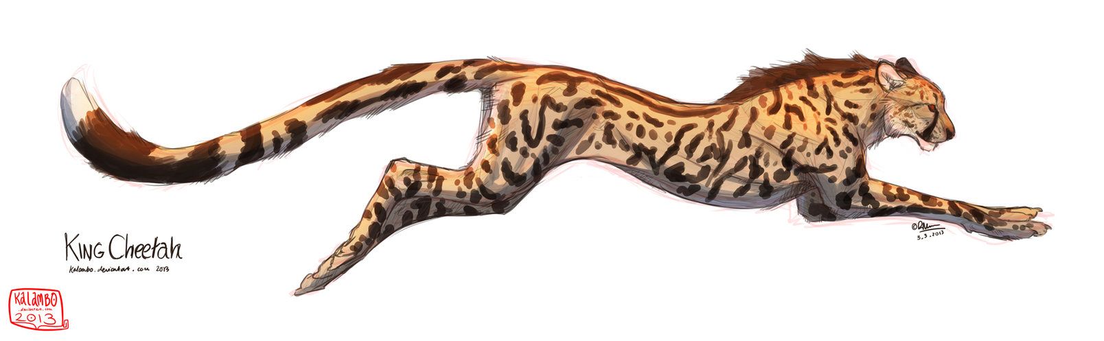 1608x497 King Cheetah - King Cheetah Drawing