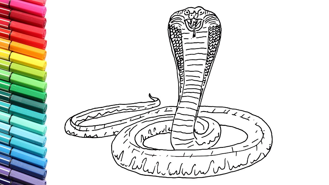 1280x720 How To Draw King Cobra Snake - King Cobra Drawing