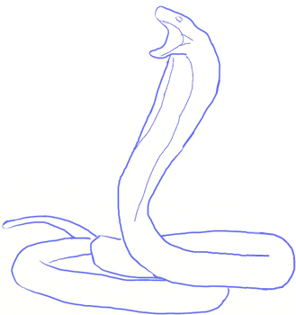 329x350 How To Draw A King Cobra Snake - King Cobra Drawing