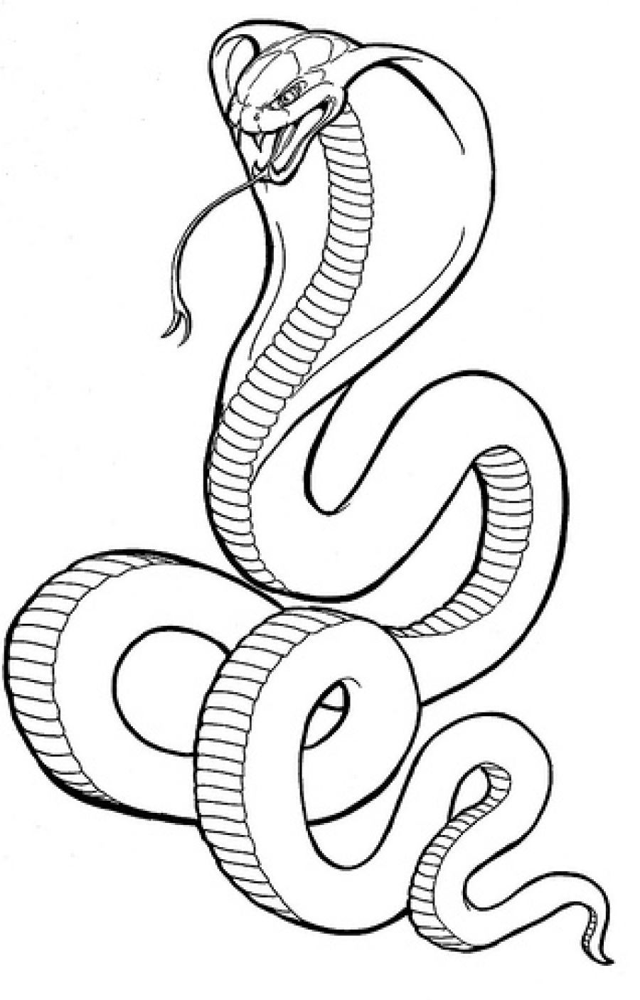 900x1406 Coloring Pages Egypt - King Cobra Drawing
