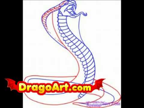480x360 How To Draw A King Cobra Youtube - King Cobra Head Drawing