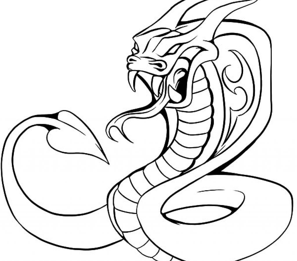 1024x900 King Cobra Coloring Pages Head Drawing At Getdrawings Com Free - King Cobra Head Drawing