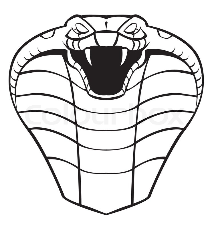 748x800 King Cobra Head Drawings Free Image - King Cobra Head Drawing