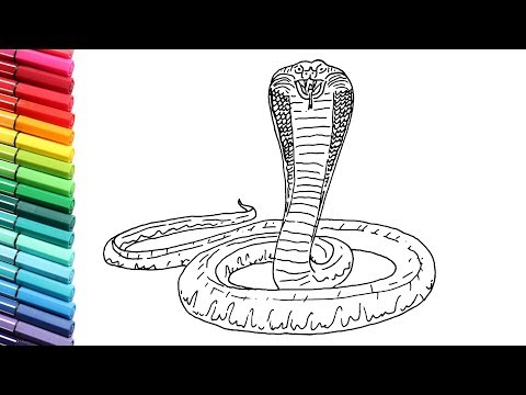 480x360 How To Draw King Cobra Snake - King Cobra Snake Drawing