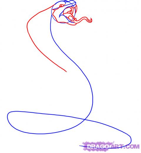 479x520 How To Draw A Snake King Cobra - King Cobra Snake Drawing