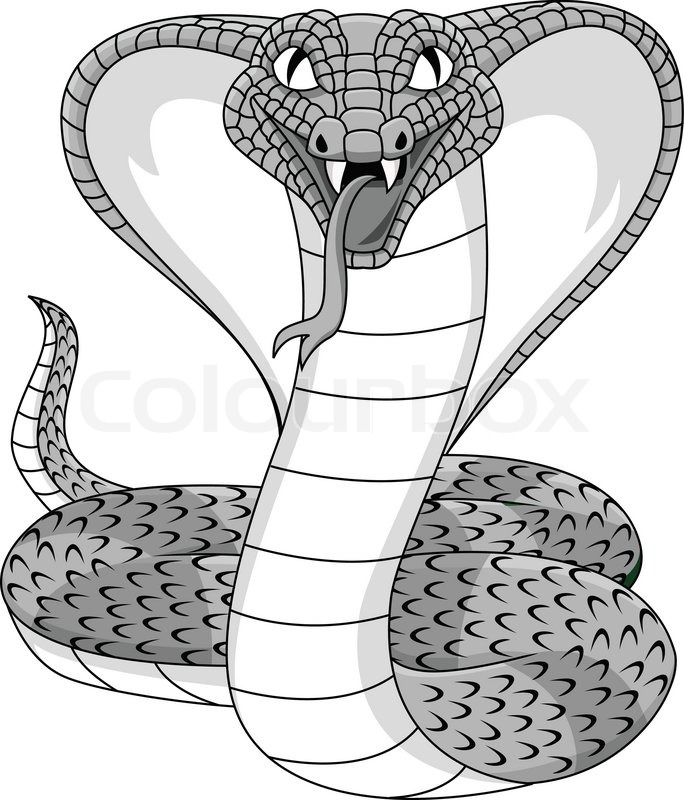 684x800 Cobra Snake Tattoo Stock Vector Colourbox - King Cobra Snake Drawing